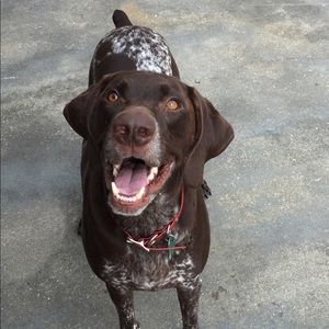 Meet your Posher, Haley